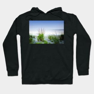 Sea Oats On The Dune Hoodie